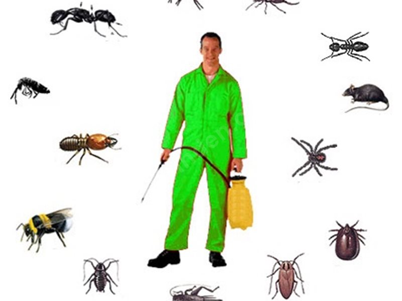 Yenişarbademli Böcek İlaçlama